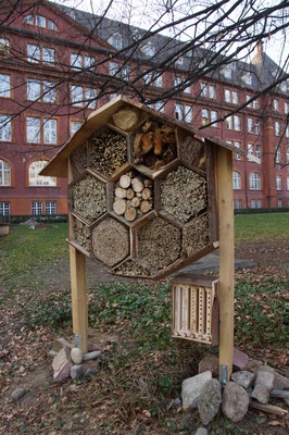 Insektenhotel