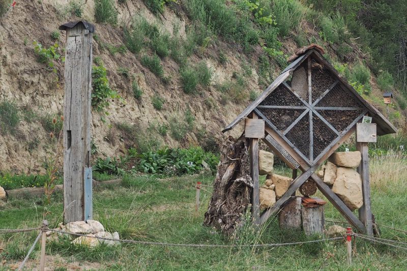 NABU Wildbienenlehrgarten