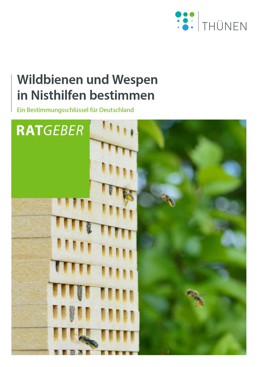 Nisthilfenthuehnen.jpg