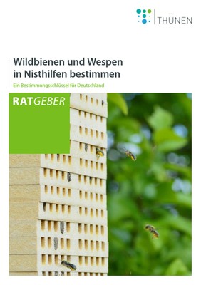 Nisthilfenthuehnen.jpg