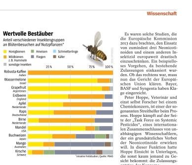 summ herum_spiegel-25_06_2016.jpg