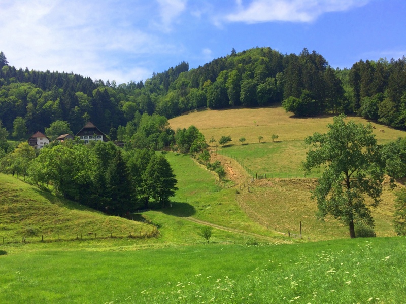 2018-07-14 14.34.04Suggental.jpg