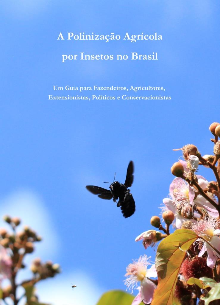 Crops_Brazil_br