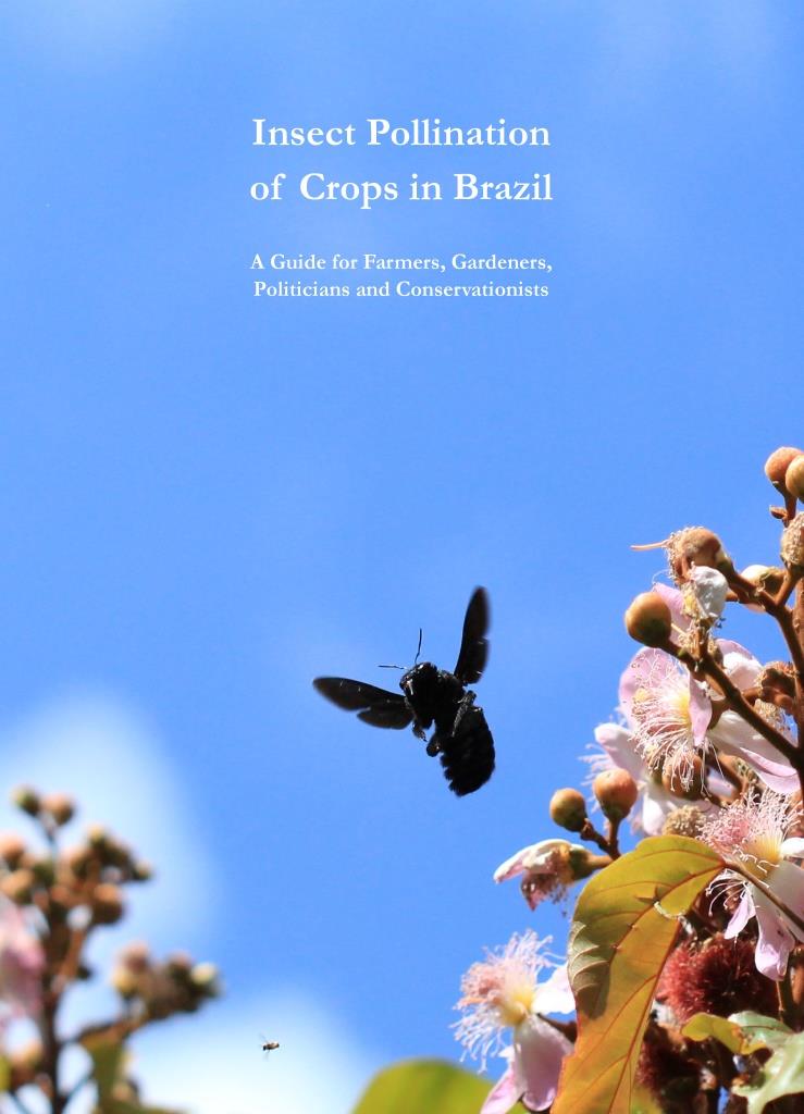 Crops_Brazil_en