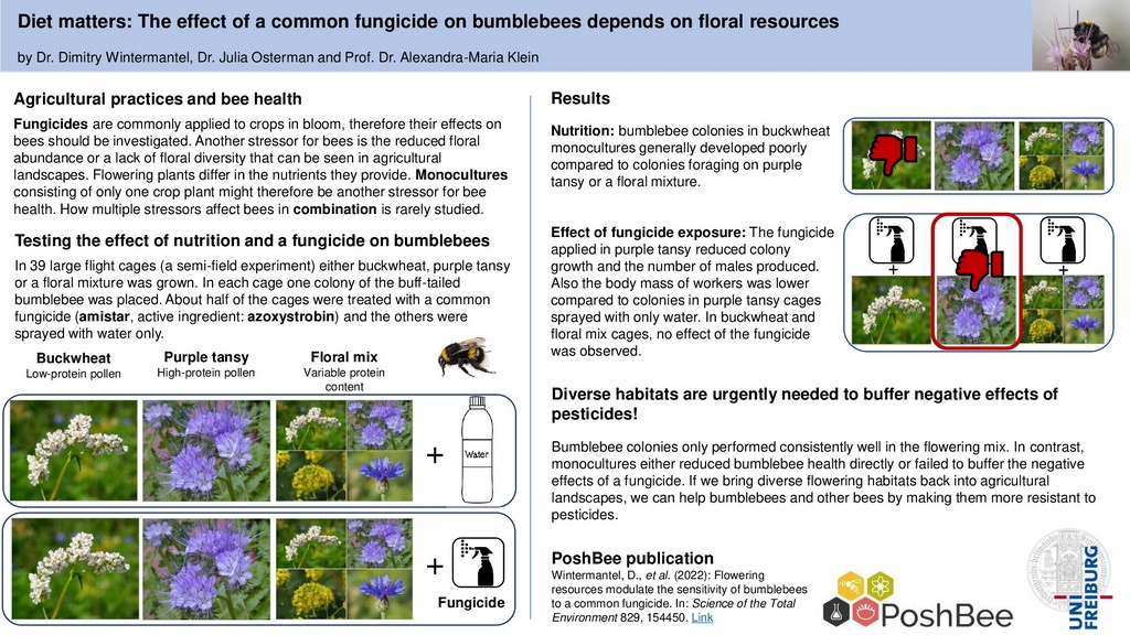 PoshBeeStakeholderSummary - Nutrition_Azoxystrobin_Bumblebee_final.jpg