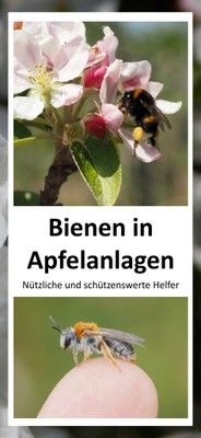 190306_Flyer Bienen in Apfelanlagena.jpg