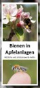 190306_Flyer Bienen in Apfelanlagena.jpg