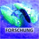 Front_Forsch_16