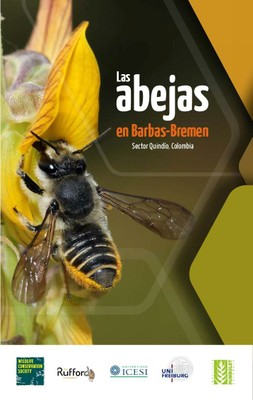 flyer_Barbas_Bremen_Guitierrez