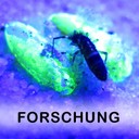 Forschung Frontbild_NEU