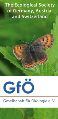 gfoe_flyer-pic.jpg