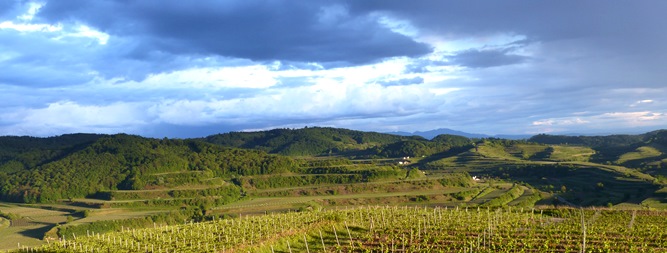 panorama_2_kaiserstuhl