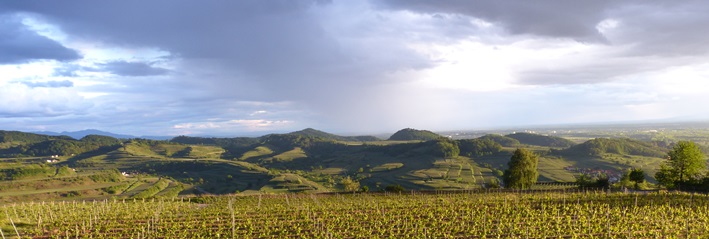 panorama_3_kaiserstuhl