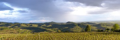 panorama_3_kaiserstuhl