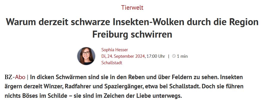 BZ-Artikel-sept24.JPG