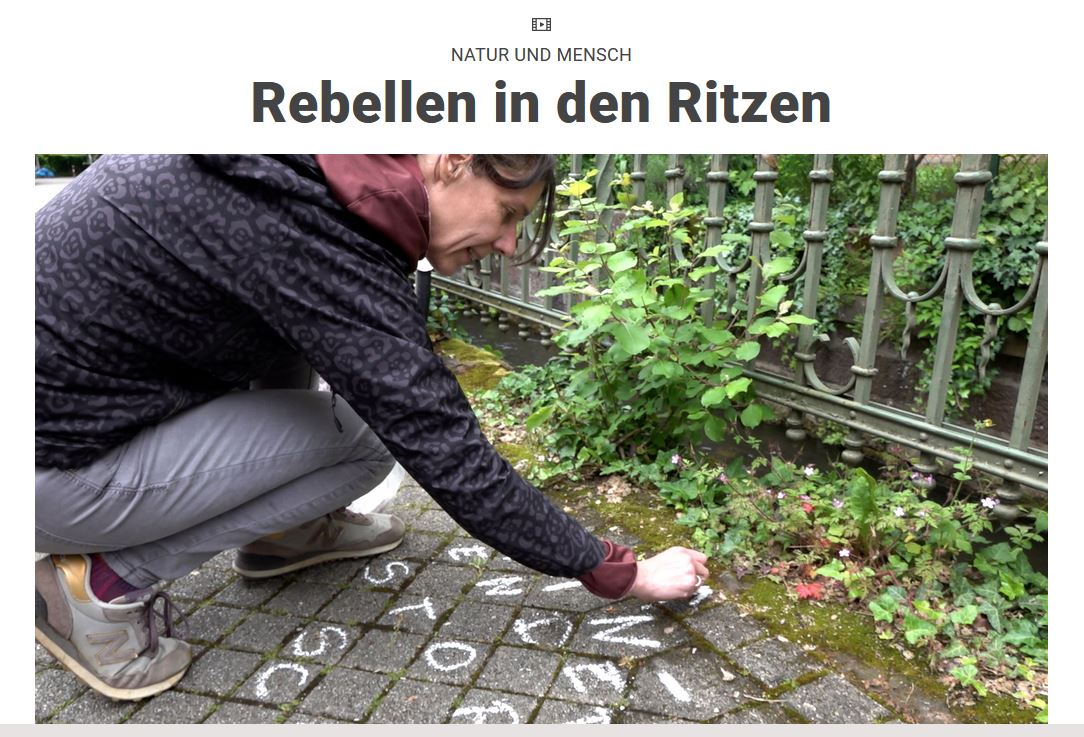 Ritzenrebellen
