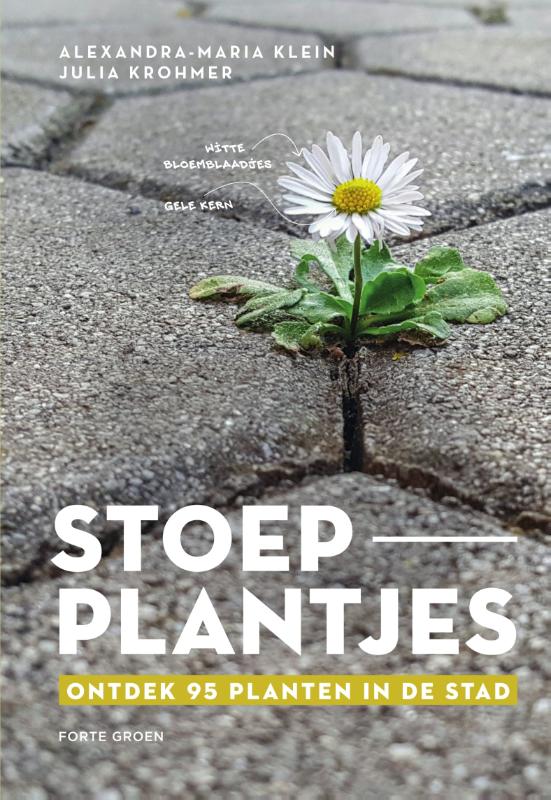 Stoep_Plantjes.jpg