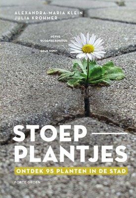 Stoep_Plantjes.jpg
